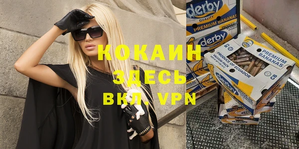 прущие грибы Краснотурьинск