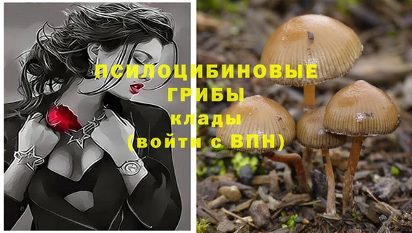 PSILOCYBIN Абаза