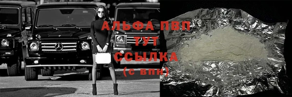 прущие грибы Краснотурьинск