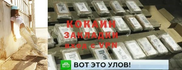 прущие грибы Краснотурьинск