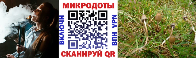 магазин продажи   ОМГ ОМГ ссылка  Галлюциногенные грибы Magic Shrooms  Апшеронск 